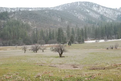 Yreka - 12 - 23 - 2007a (3) (Large).JPG